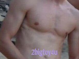 2bigtoy4u
