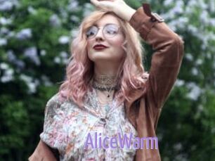 AliceWarm