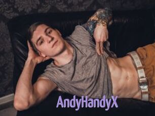 AndyHandyX