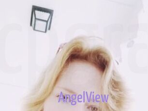 AngelView