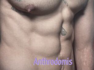 Anthrodomis