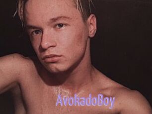 AvokadoBoy
