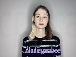 Alodiegambee