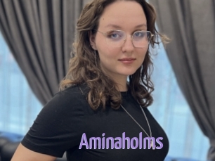 Aminaholms