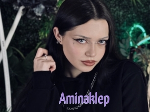 Aminaklep