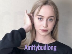Amitybudlong