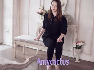 Amycactus