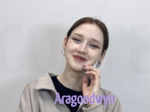 Aragoodwyn
