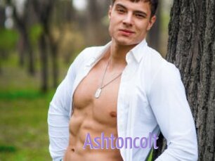 Ashtoncolt