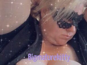 Bigmaturekitty