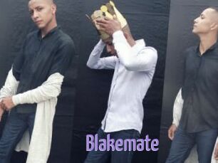 Blakemate