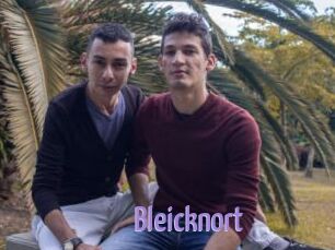 Bleicknort