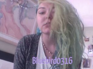 Bluebird0316