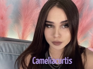 Cameliacurtis