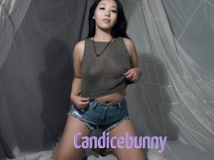 Candicebunny