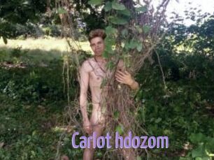 Carlot_hdozom