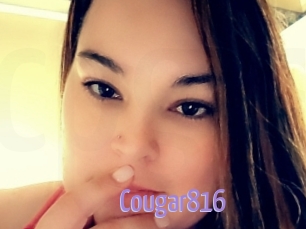 Cougar816
