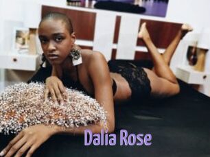 Dalia_Rose