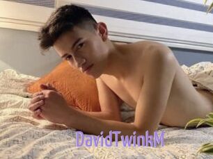DavidTwinkM