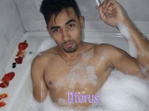 Dtorus