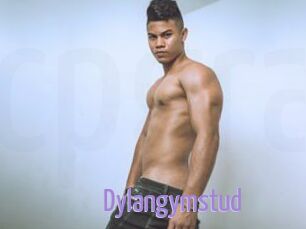 Dylangymstud