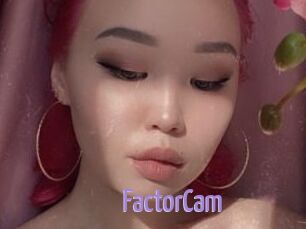 FactorCam