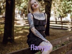 Flamygir