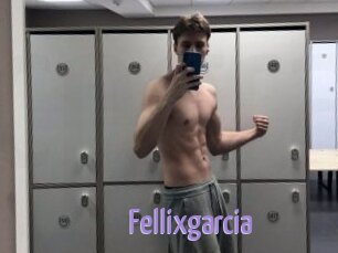 Fellixgarcia