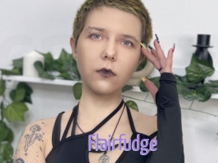 Flairfudge