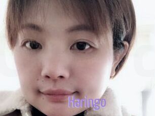 Haringo