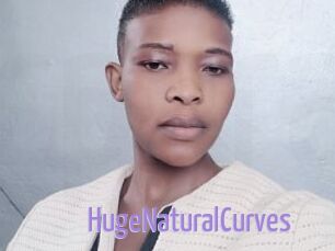 HugeNaturalCurves