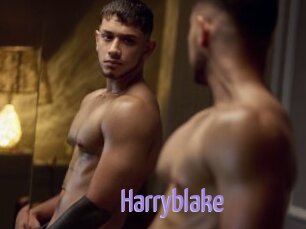 Harryblake