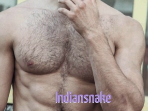 Indiansnake
