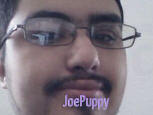JoePuppy