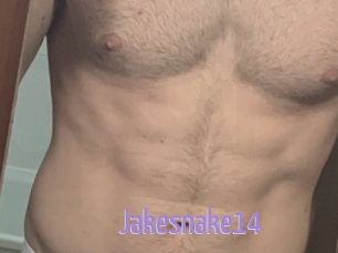 Jakesnake14