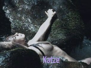 Katze