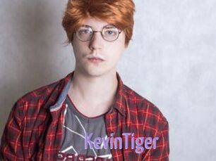 KevinTiger