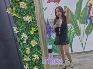 Litross