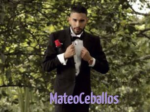 MateoCeballos