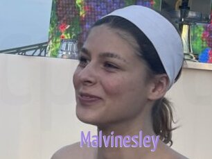 Malvinesley