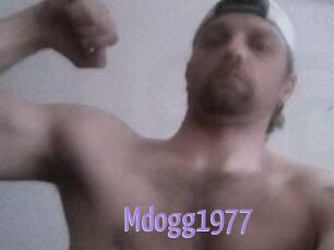 Mdogg1977