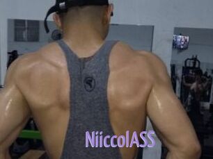 NiiccolASS