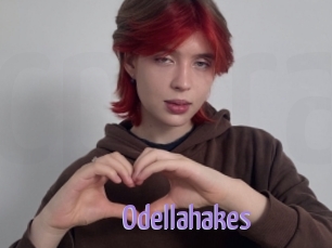 Odellahakes