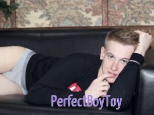 PerfectBoyToy