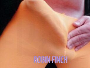 ROBIN_FINCH