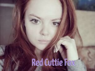 Red_Cuttie_Fox