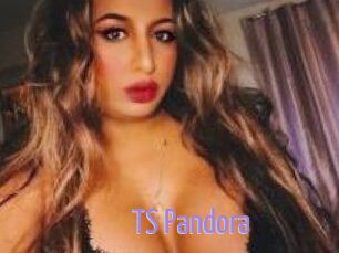 TS_Pandora