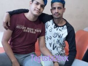 Tegusta29xx