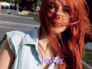 TinyFox