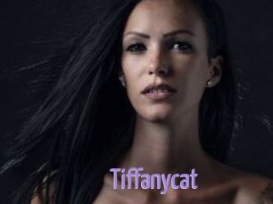 Tiffanycat